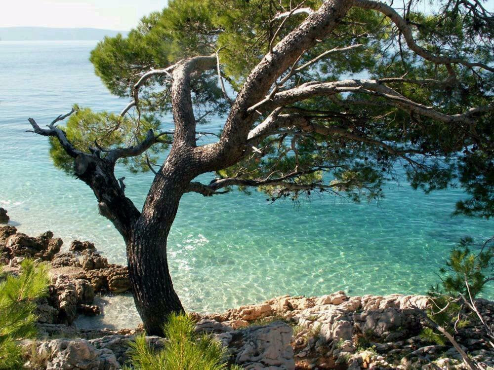 Apartmani Milka I Jozo Omis Bagian luar foto